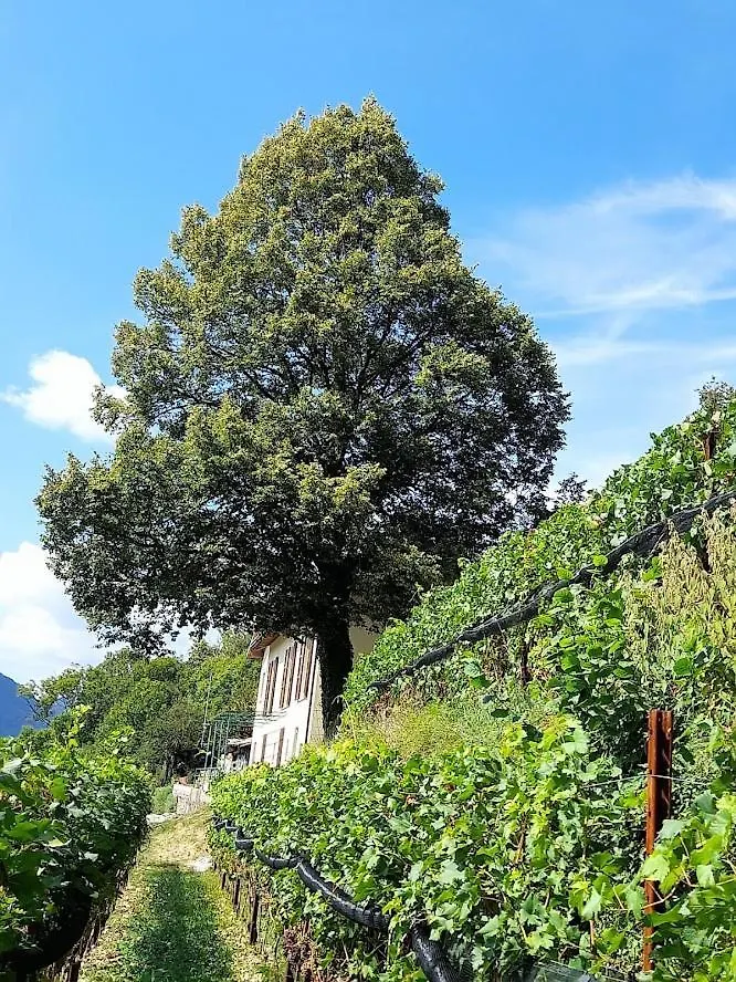Cascina Teresina Villa Veleso Vakantieboerderij